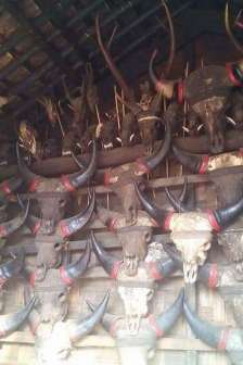 received_259900611144948