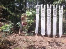 received_259484594519883